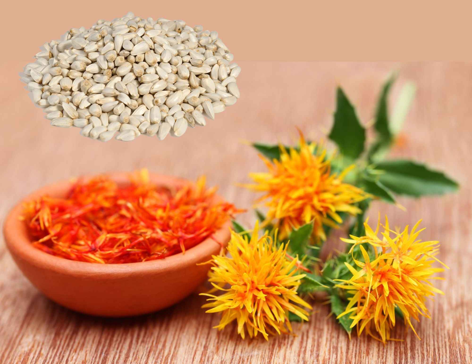 Safflower Seeds Manufacturers in Ranchi